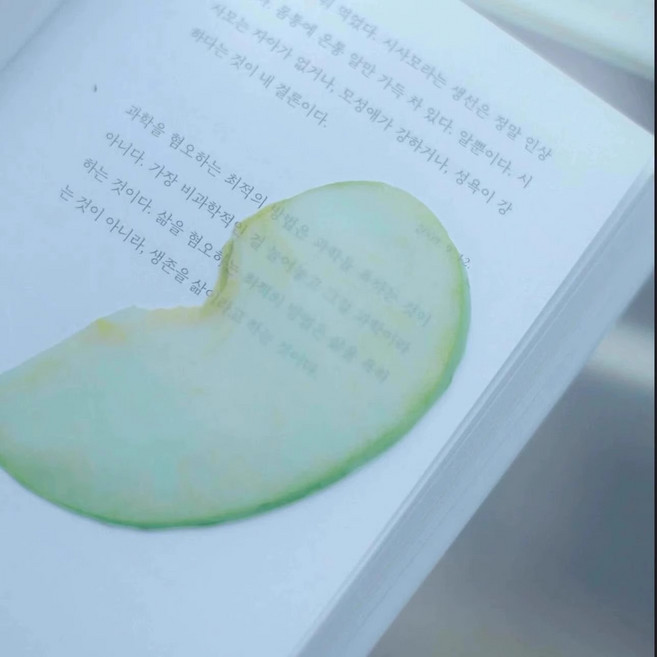 북마크 과일 책갈피 반투명 북클립, 3개, 청사과