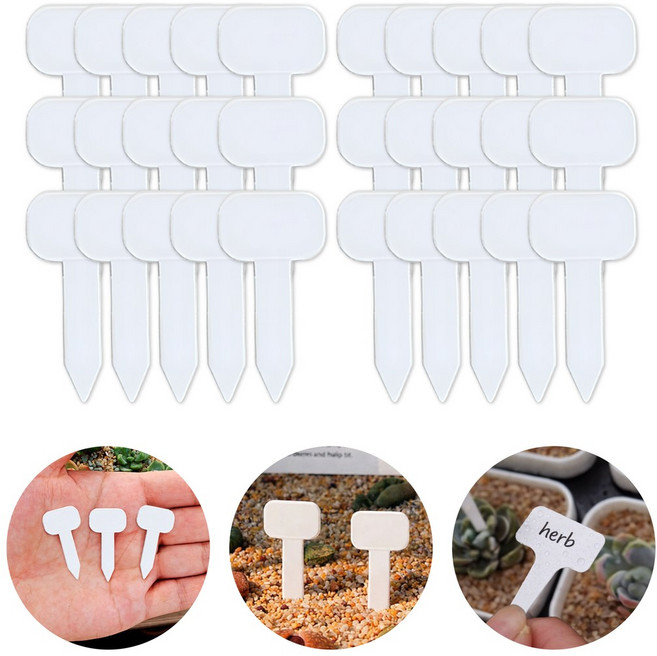 도나토르 미니 식물 다육이 이름표 30p, 화이트 30p