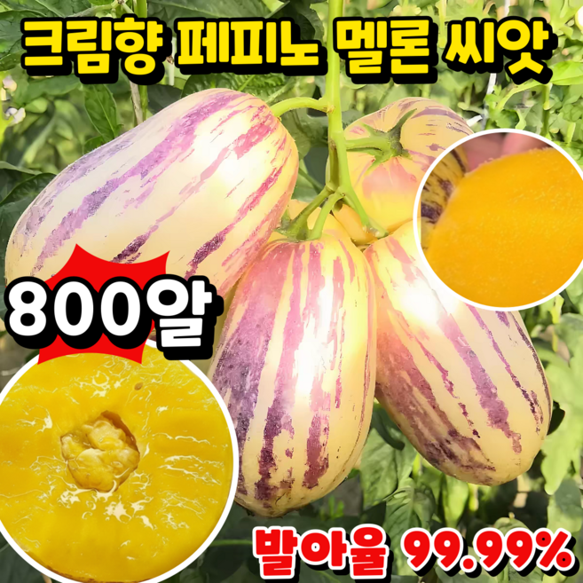 [100일 숙성] 크림향 우유향 황금 페피노 멜론 씨앗 크림향 페피노 5A급 페피노 씨앗, 8개