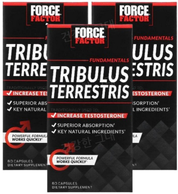 포스팩터 Tribulus 트리뷸러스 500mg 60캡슐 3개 트리블러스 운동부스터, 60캡슐 3병, 60정