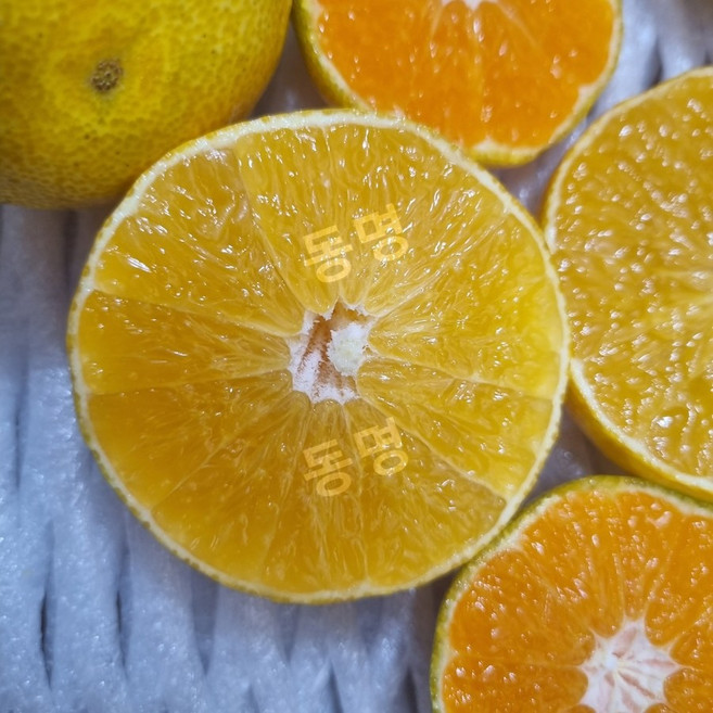 동명 제주 고당도 선별 황금향 프리미엄 직송 가정용, 1kg 소과 (7-8과)