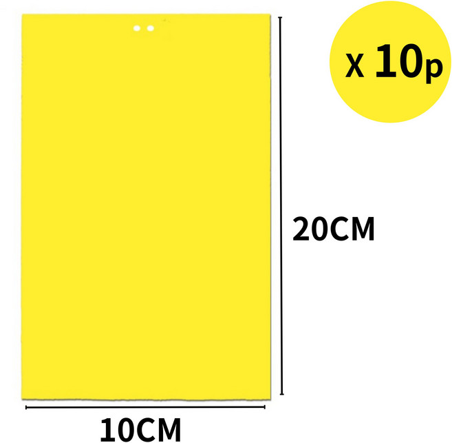 Glow 초강력접착 끈끈이 해충 벌레퇴치 트랩 10p 세트, 10X20, 1개, 10매입