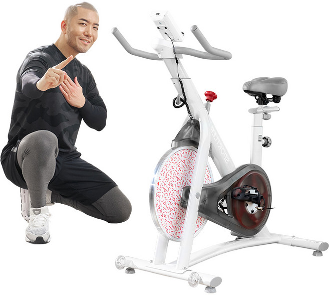 숀리 스핀바이크 실내자전거, 화이트