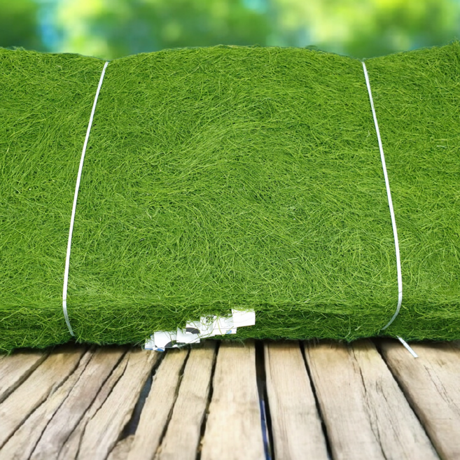 완도산 최상품 자연산 마른 감태, 10개, 5g