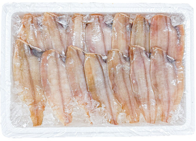 농가살리기 구룡포항 자연산 손질 기름 가자미, 1개, 중 10미 (총 1.2kg 내외)