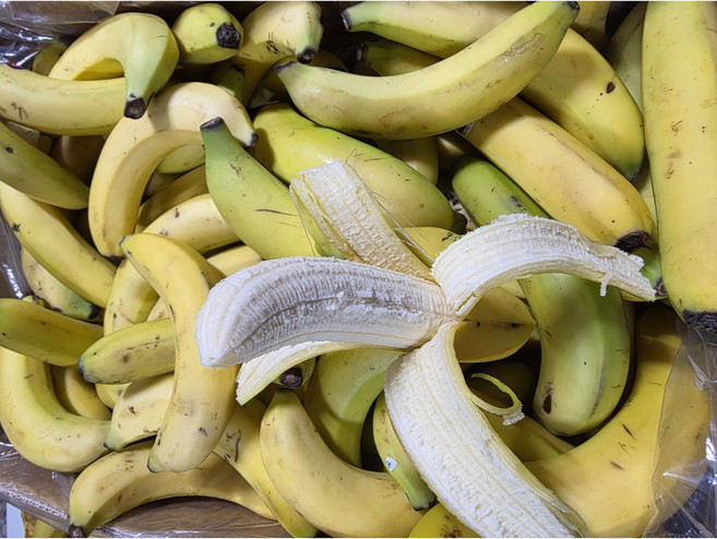 실속형 고당도 낱발 바나나 고당도 낱발 바나나 6KG 10KG 13KG, 1개