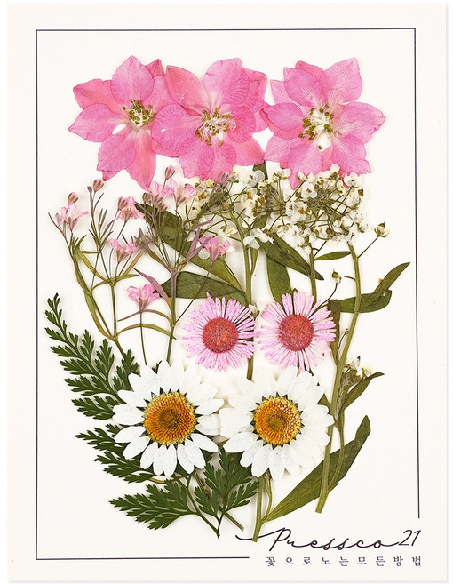 압화 압화꽃 꽃송이 프레스코21 종합팩 3000A, 3500C
