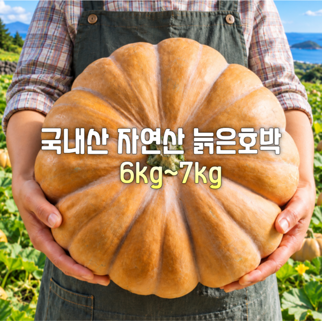 3위 - [산지직송] 촉촉달콤 새벽수확 당일배송 친환경 늙은호박 맷돌호박 선물용 가정용, 1박스, 6kg~7kg