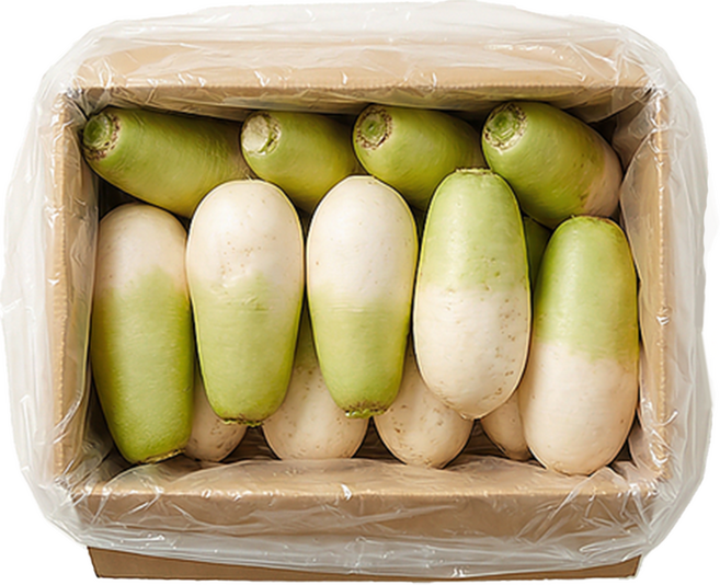 제주 월동무 세척무 김장무 동치미무, 5kg, 1