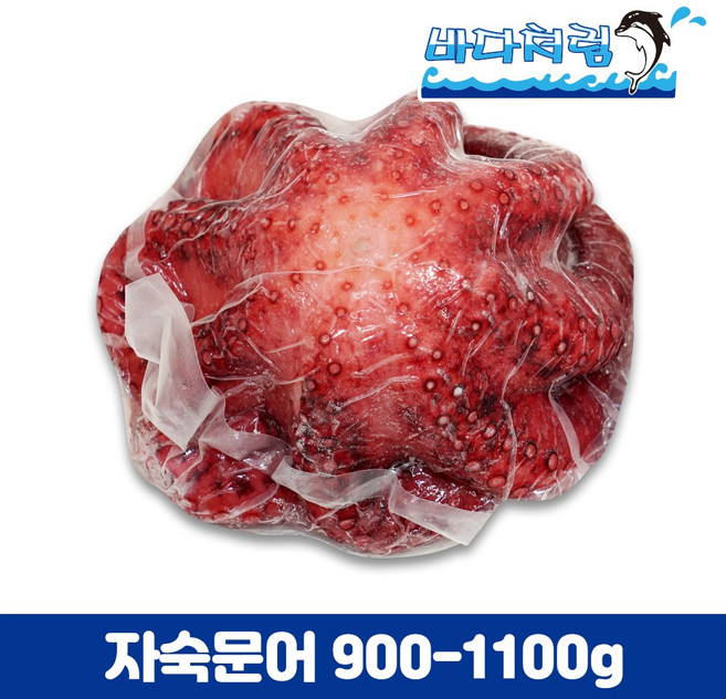 자숙문어 900/1100g 필리핀 냉동 제수용 숙회용 데친문어, 1개