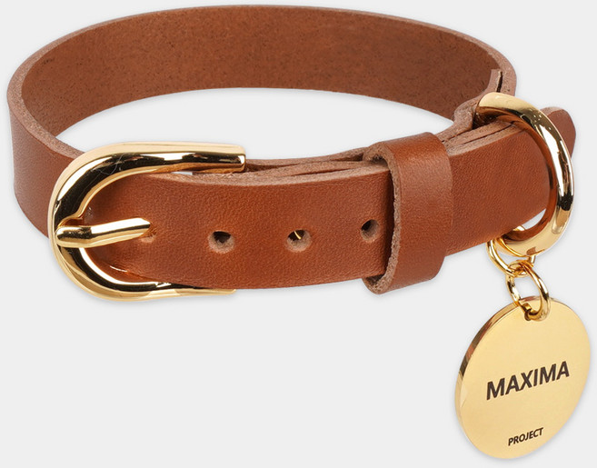 MX PET 베지터블 가죽 목줄 325X TAN 강아지 소 중 대형 각인, 탄색/기본형, 1개, 골드