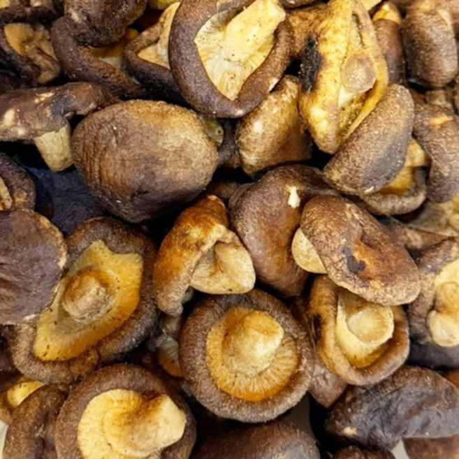 일오삼버섯칩 동결건조저온유탕 표고버섯칩 3kg 1개