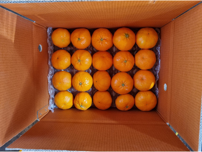 [아빠의 농장 직송] 제주 프리미엄 고당도 카라향, 1박스, 5kg