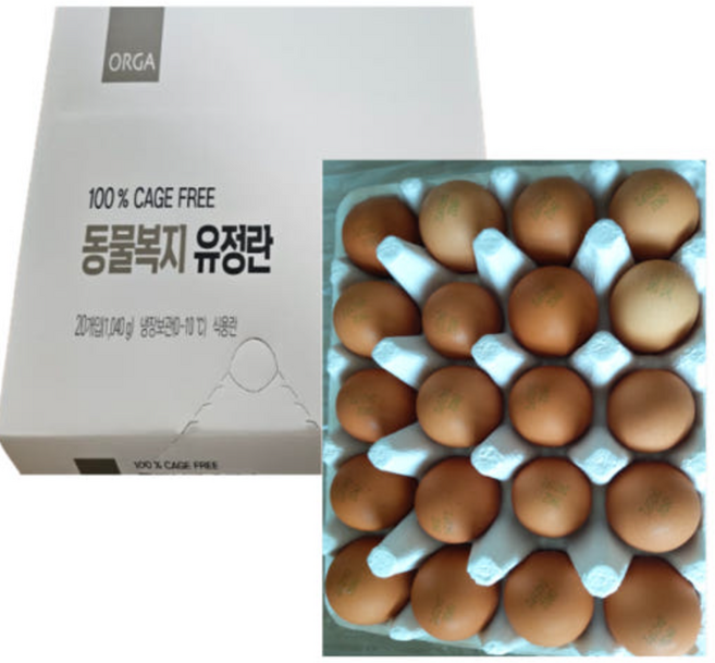 올가 동물복지 무항생제 유정란, 20구, 1개