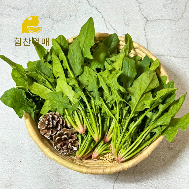 힘찬열매 포항초 영해초 시금치, 4세트, 300g