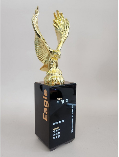 [좋은상패] 골프트로피 홀인원트로피 싱글트로피 홀인원패 골프이글패 골프싱글패 이글트로피 우승대회골프상패 골프상패 골프기념패JSE501, 1개, 불랙
