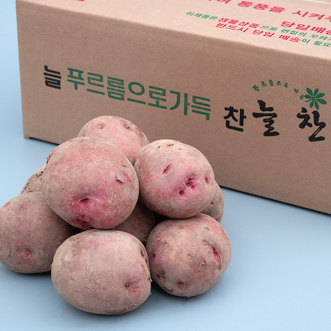 5위 - 로즈밸리 홍감자 포실포실 고소한 빨간감자/홍감자/적감자, 3kg(왕특/반찬용), 1개