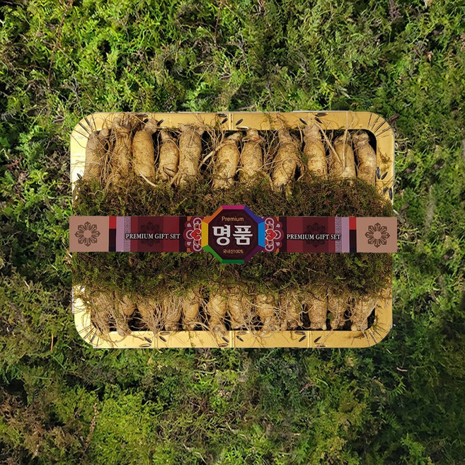 금산인삼 수삼 명절선물세트 선물용 바구니2호원수삼대 1.5kg 20~26뿌리, 1세트