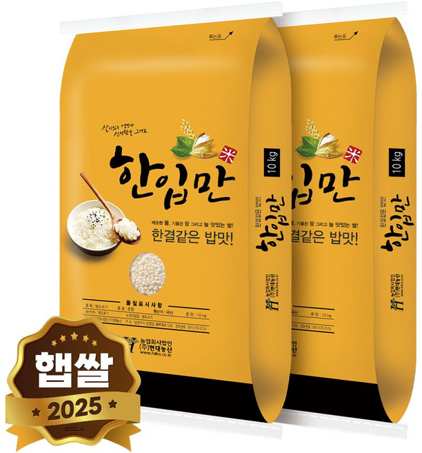 현대농산 국산 한입만 찹쌀 10kg, 2개