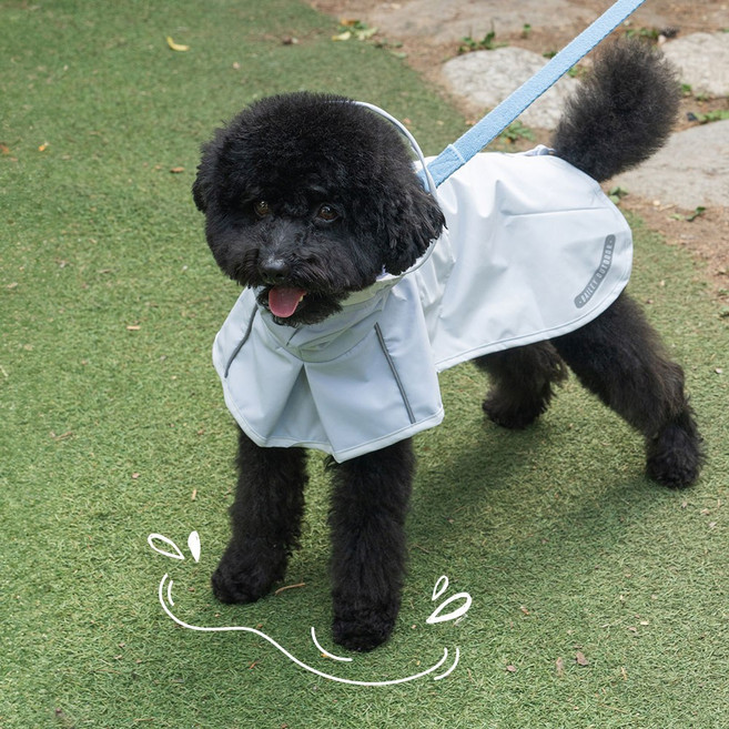 베일리 강아지우비 비옷 판초 중형견 대형견 아웃도어 레인코트, 스카이, 1개