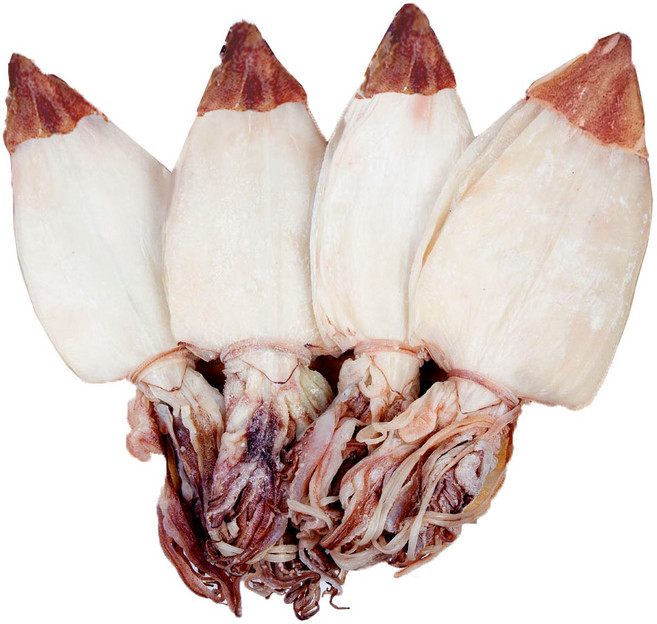 AAA등급 부드럽고 담백한 최고급 한치 M(대) 사이즈 10미(400g) 15미(600g) 20미(800g) 30미(1.2kg), 1개