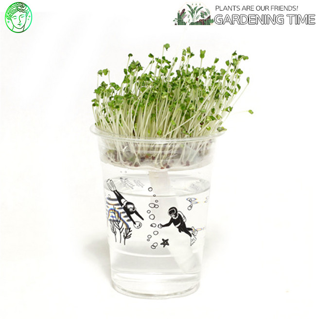 예스통상 <씨앗 식물 키우기 재배키트 50종> / 강낭콩키우기 토마토키우기 원예체험 텃밭가꾸기 새싹키우기, 09. 한컵새싹농장_브로콜리 단품