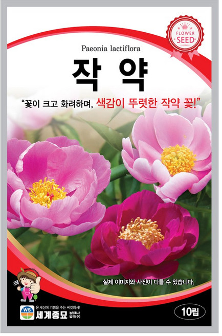 작약 씨앗 10립 꽃씨앗 세계종묘 모칸도, 1개