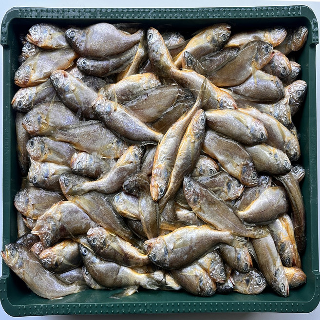 힘찬푸드 제주 참조기 14kg 대용량 한박스 업소용, 210미, 1박스