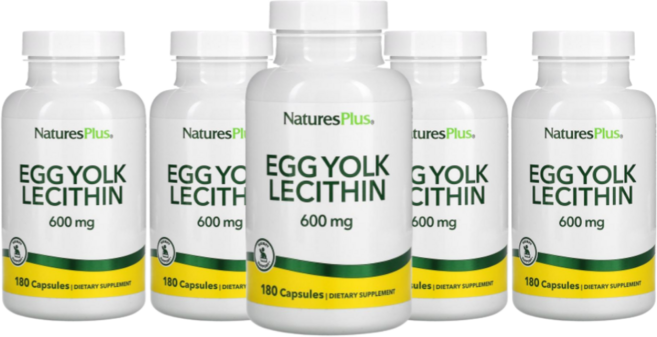 난황 NaturesPlus Egg Yolk 네이쳐스플러스 에그 요크 레시틴 600mg, 180정, 5개