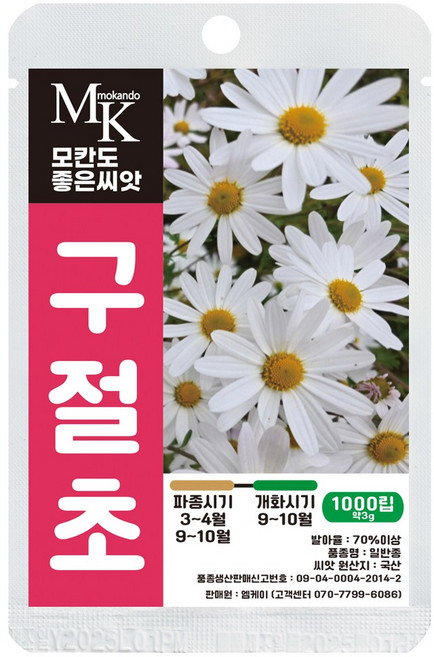 구절초 씨앗 1000립 꽃씨 꽃씨앗, 1개