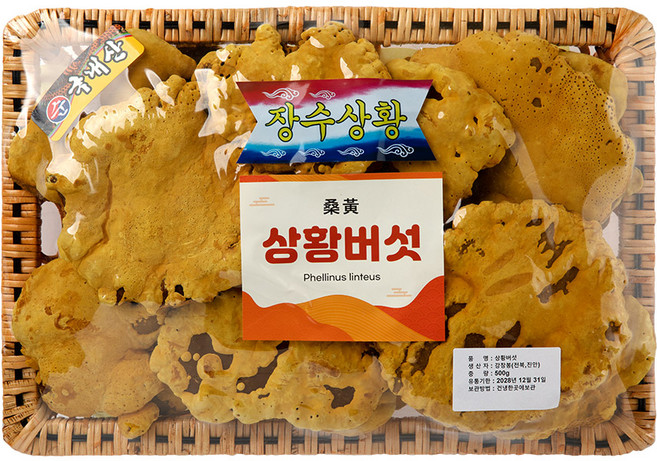 [예운당] 국산100% 상황버섯 500g (고급바구니 선물세트), 1개