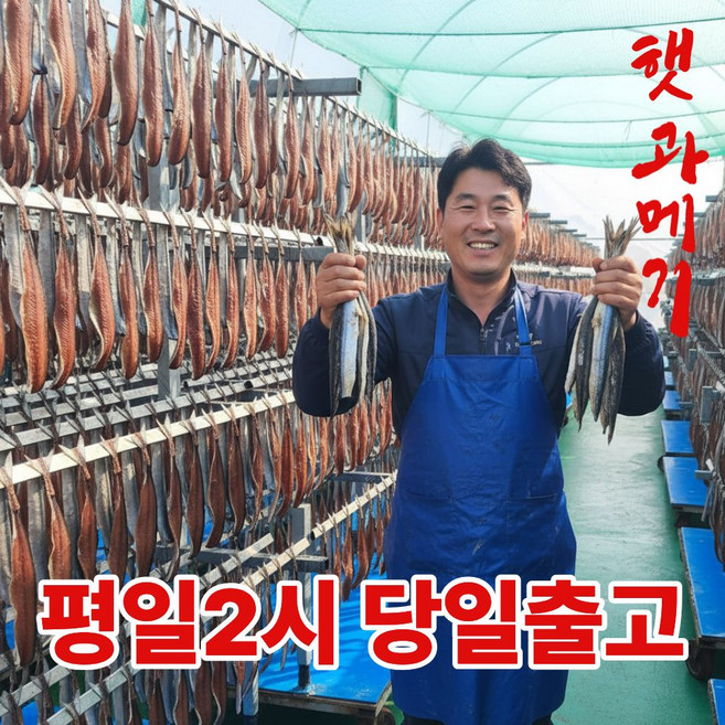 어부의뜰 포항 구룡포 과메기 진공포장 꽁치 햇과메기 밀키트, 1개, 10미 20쪽 단품