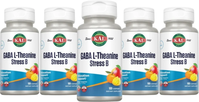 KAL GABA L Theanine stress B 천연 mango 귤 맛 판토텐산 아미노산 로젠지, 5개, 100정 - 쿠팡