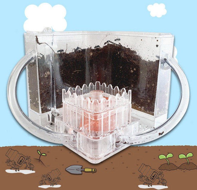 개미집 (Ant House) 개미사육상자 (개미사육통+개미전용 흙+개미젤리1개)