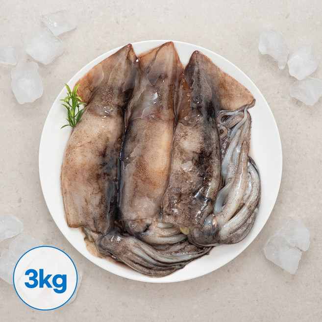 베이트오징어 10미 3kg 대용량 냉동 통오징어, 1개, 단품