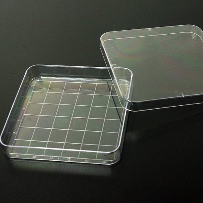 (미래과학)사각 페트리디쉬(샬레)-10개입, 1개