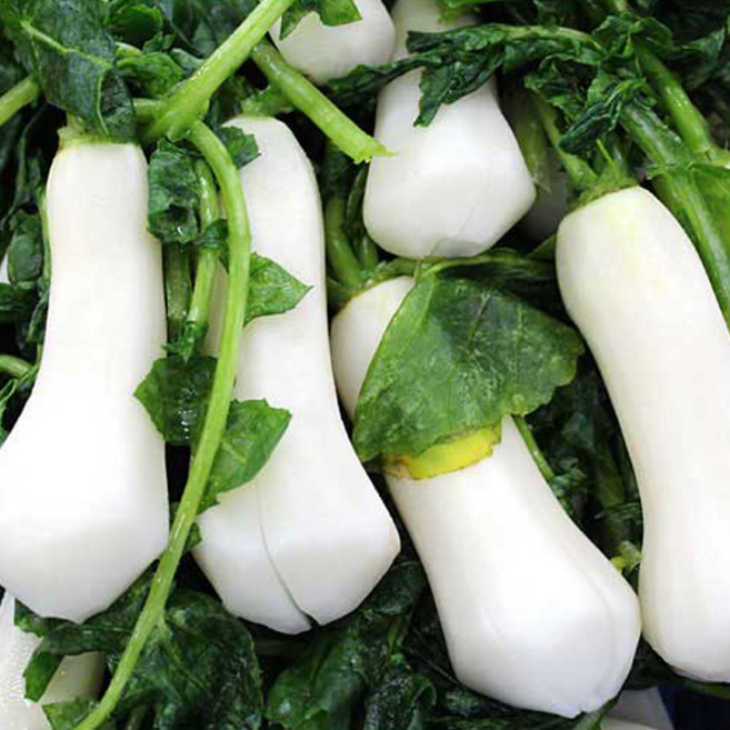 전라김치 절임알타리 손질 절임 무 총각김치 김장, 1kg