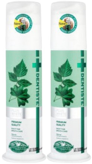 덴티스테 펌핑 펌프 치약 입냄새 제거 잇몸 충치 2개