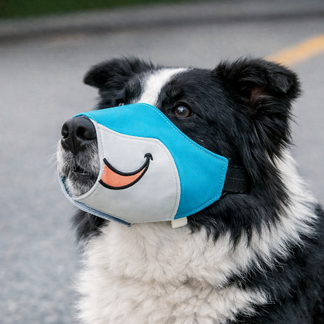 지금도착 물간식가능 숨쉬기편한 귀여운 반려견입마개 강아지입마개, 1개, 블루, L