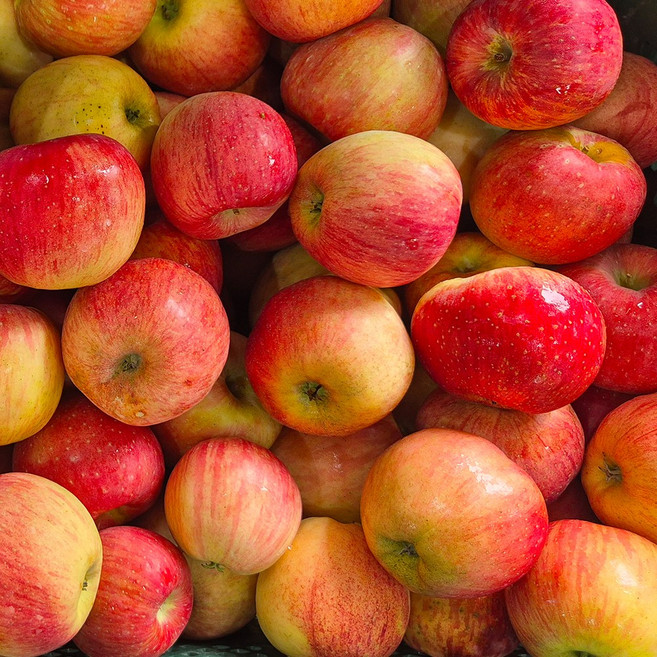 한입사과 꼬마사과 인기만점 아침한알 경북사과, 1박스, 꼬마사과 5kg