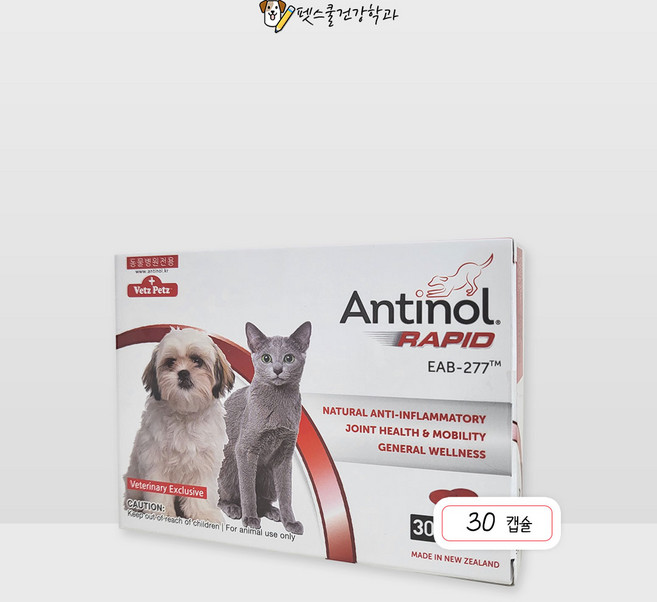 안티놀 래피드 30정 (강아지 고양이 관절영양제), 뼈/관절강화, 1개