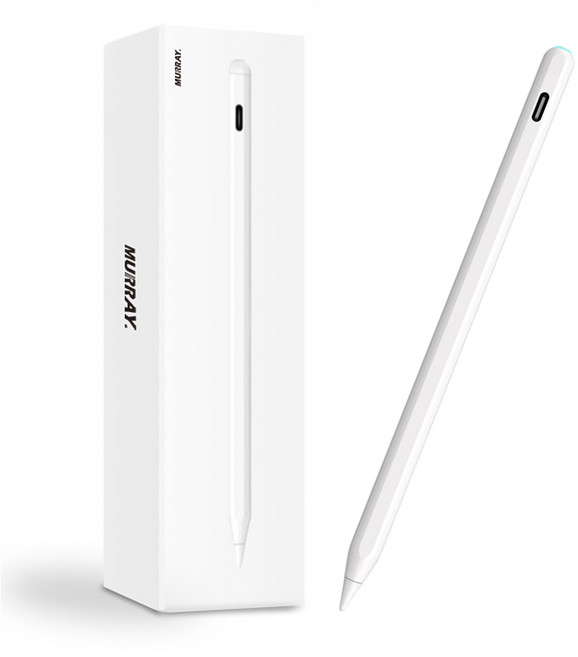 아이패드 에어 5세대 4세대 펜슬 A2588 A2589 A2591 A2316 A2324 A2325 A2072, 1개