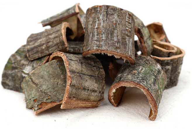 자연산 벌나무 껍질 국산 산청목, 1개, 300g