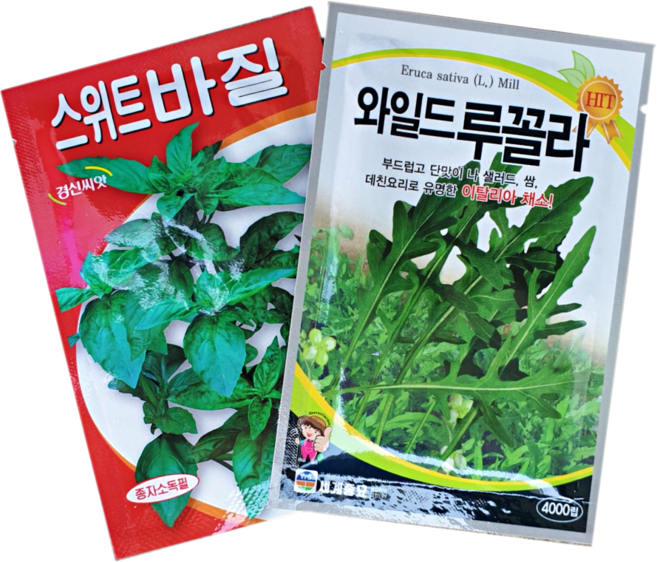 스위트 타이 바질 와일드루꼴라 씨앗