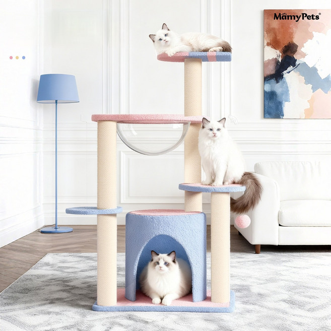 캣타워 작은 평수 공간을 차지하지 않음 가정용 고양이 둥지 고양이 나무 일체 사이잘삼 사계절 공용, 1개, 핑크블루