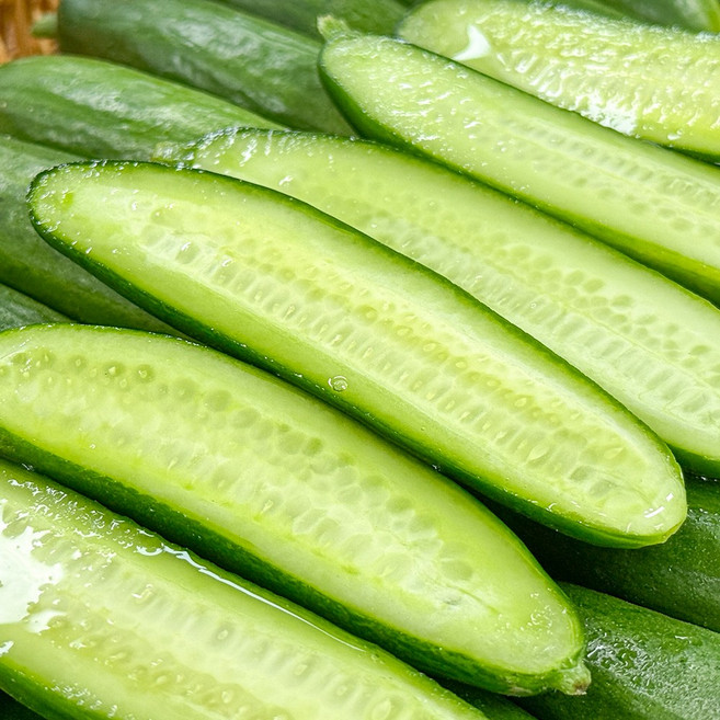 아삭아삭 신선한 한입 미니오이, 1개, 2kg(특품)