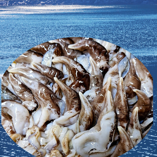 당일조업 여수 손질 새조개 샤브샤브용 자연산, 1개, 당일조업새조개 200g