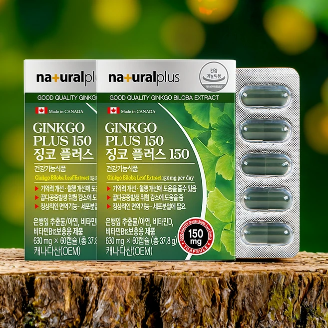 은행잎 추출물 기억력 인지력 뇌 건강 영양제 효능 500mg x 60캡슐 2개월분 선물용, 60정, 2박스 - 쿠팡