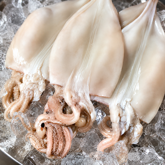 두툼한 생물 급냉 냉동 오징어 손질 오징어, 1세트, 2미(300~350g)