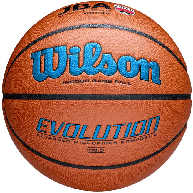 Wilson (윌슨) EVOLUTION GAME BSKT - JBA (JAPAN) Roy 6